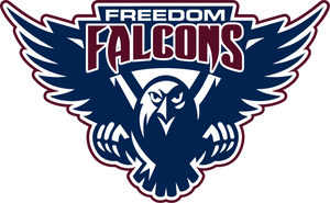 Freedom Volleyball