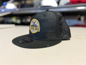 UA 342 Badge Patch Hat