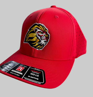 Liberty Lions On Field Hat